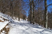 36 Proseguo su ampia strada agrosilvopastorale